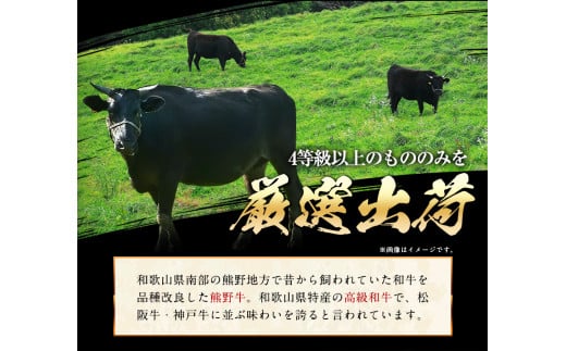 「熊野牛」特選モモ焼肉600g 4等級以上 　株式会社松源　《30日以内に出荷予定(土日祝除く)》和歌山県 岩出市　松源　株式会社松源