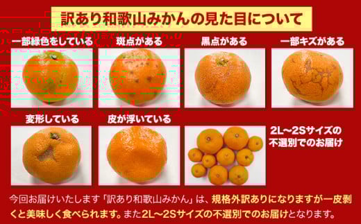 【先行予約】【訳あり/サイズ不選別】 和歌山みかん 約5kg 和歌山県産 《2025年11月中旬-1月中旬頃出荷》たっぷり ご家庭用 2L〜2S 産地直送 みかん 旬 蜜柑 ミカン 柑橘 果物 フルーツ 和歌山県 岩出市