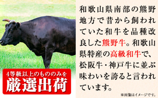 和歌山産 高級和牛 熊野牛 ステーキセット ロース ヘレ 約640g エバグリーン《30日以内に出荷予定(土日祝除く)》 和歌山県 岩出市 牛 うし 牛肉 熊野牛 和牛 高級