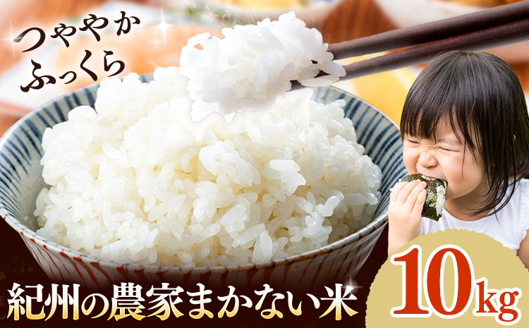 米 こめ 紀州の農家まかない米 約10kg 《30日以内に出荷予定(土日祝除く)》 和歌山県 岩出市 お米 コメ ご飯 ごはん 米10kg