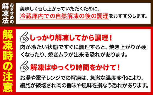 プルコギ 味つけ牛肉切り落とし(プルコギ風) 410g(410g×1袋) 株式会社松源《90日以内に出荷予定(土日祝除く)》和歌山県 岩出市 牛肉 肉 バラ肉 味付け 切り落とし プルコギ 送料無料