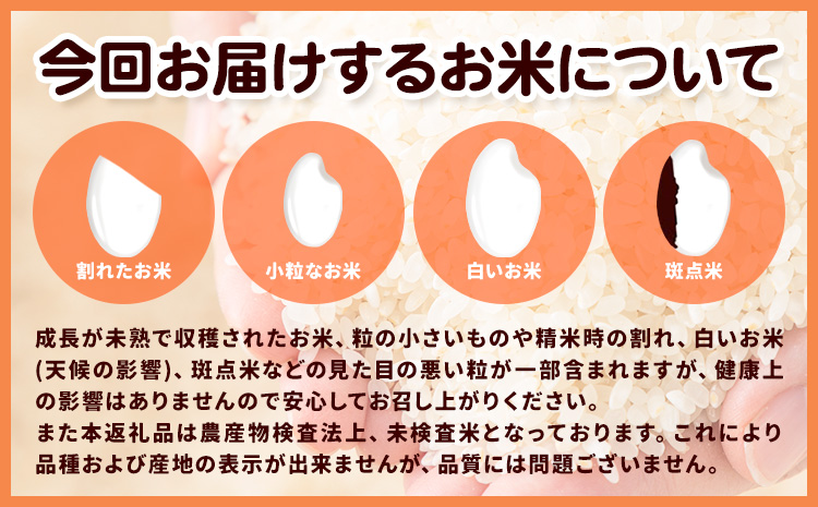 米 こめ 和歌山まんぷく米 約5kg 《30日以内に出荷予定(土日祝除く)》 和歌山県 岩出市 送料無料 お米 コメ 白米 精米 国産米 ごはん お弁当 農家 未検査米 和歌山 産地直送 ブレンド米