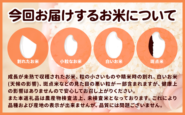 邀ウ 縺薙a 蟯ゥ蜃コ蟶ょソ懈抄邀ウ 邏5kg 縲30譌・莉・蜀縺ォ蜃コ闕キ莠亥ョ(蝨滓律逾晞勁縺)縲 蜥梧ュ悟アア逵 蟯ゥ蜃コ蟶 縺顔アウ 繧ウ繝。 縺秘」ッ 縺斐ッ繧 邀ウ5kg
