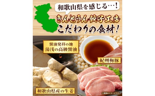 紀州きんとうん餃子 生姜餃子 2種 セット 計120個 ( 30個 入り × 4パック ) きんとうん餃子工房《90日以内に出荷予定(土日祝除く)》 和歌山県 岩出市 餃子 ぎょうざ 惣菜 中華 生姜 冷凍 送料無料