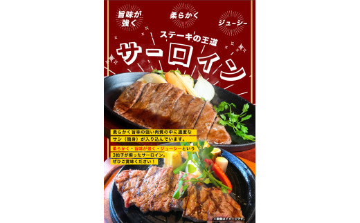 サーロインステーキ　「熊野牛」特選サーロインステーキ170g×2枚 4等級以上 株式会社松源《30日以内に出荷予定(土日祝除く)》和歌山県 岩出市 ステーキ サーロインステーキ ステーキ　