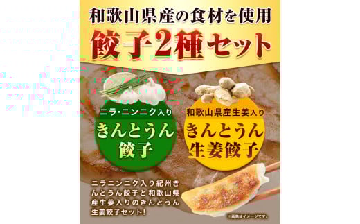 紀州きんとうん餃子 生姜餃子 2種 セット 計120個 ( 30個 入り × 4パック ) きんとうん餃子工房《90日以内に出荷予定(土日祝除く)》 和歌山県 岩出市 餃子 ぎょうざ 惣菜 中華 生姜 冷凍 送料無料