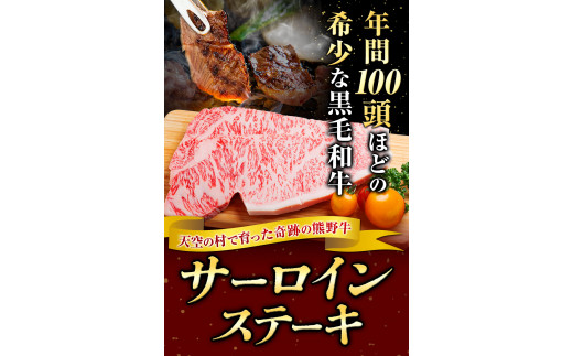 サーロインステーキ 黒毛和牛 牛 牛肉 ステーキ 約500g 約100g×5パック 有限会社松牛《30日以内に出荷予定(土日祝除く)》 和歌山県 岩出市 希少 肉 牛肉 熊野牛 送料無料 サーロイン ステーキ