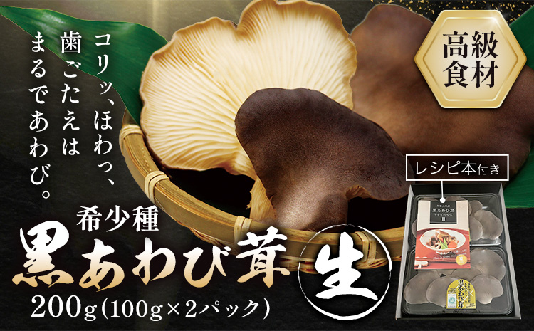 きのこ 希少種 黒あわび茸 生 200g ( 100g × 2パック ) 《60日以内に出荷予定(土日祝除く)》 和島興産株式会社 和歌山県 岩出市 茸 きのこ あわび 希少 高級 贈答用 贈り物 野菜 送料無料