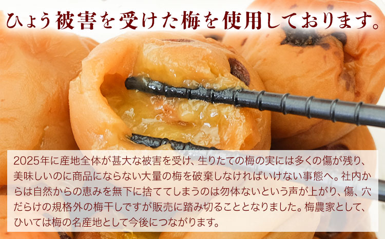 無添加梅干し ひょう被害エール規格外はちみつ梅干し 塩分6% 1kg 500g 2パック 農業法人 株式会社紀州梅香《30日以内に出荷予定(土日祝除く)》 和歌山県 岩出市 梅 うめ フルーツ 果物