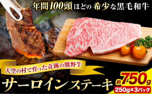 サーロインステーキ 黒毛和牛 牛 牛肉 ステーキ約750g 約250g×3パック 有限会社松牛《30日以内に出荷予定(土日祝除く)》 和歌山県 岩出市 希少 肉 牛肉 熊野牛 送料無料 サーロイン ステーキ