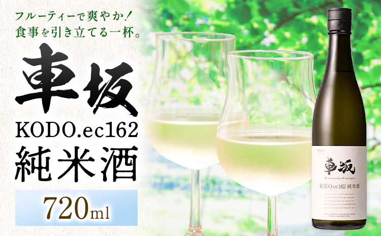 酒 車坂 KODO.ec162 純米酒 720ml 酒のねごろっく《2025年6月上旬-2026年4月末頃に出荷予定(土日祝除く)》和歌山県 岩出市 お酒 さけ アルコール フルーティー 日本酒 お取り寄せ