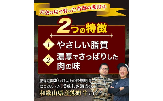 サーロインステーキ 黒毛和牛 牛 牛肉 ステーキ 約500g 約100g×5パック 有限会社松牛《30日以内に出荷予定(土日祝除く)》 和歌山県 岩出市 希少 肉 牛肉 熊野牛 送料無料 サーロイン ステーキ