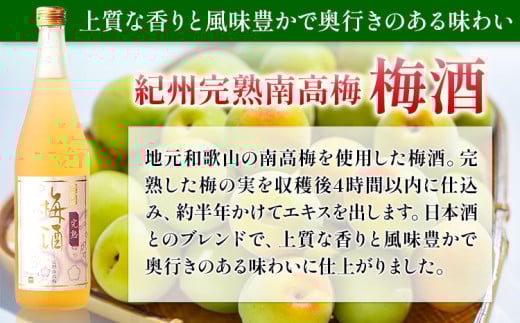 梅酒 紀州完熟南高梅 濃厚 ねり梅酒と芳醇 完熟梅酒 720ml×各1本 酒のねごろっく《30日以内に出荷予定(土日祝除く)》和歌山県 岩出市 吉村秀雄商店 酒 梅酒 飲み比べ 紀州 ねり梅酒 完熟梅酒 南高梅 720ml 1440ml 送料無料