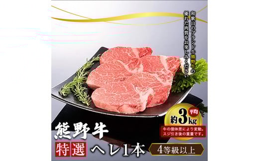 「熊野牛」 特選ヘレ 4等級以上 一本(二分割)  株式会社松源《30日以内に出荷予定(土日祝除く)》和歌山県 岩出市
