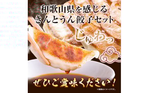 紀州きんとうん餃子 生姜餃子 2種 セット 計120個 ( 30個 入り × 4パック ) きんとうん餃子工房《90日以内に出荷予定(土日祝除く)》 和歌山県 岩出市 餃子 ぎょうざ 惣菜 中華 生姜 冷凍 送料無料