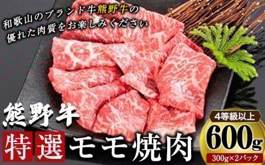 「熊野牛」特選モモ焼肉600g 4等級以上 　株式会社松源　《30日以内に出荷予定(土日祝除く)》和歌山県 岩出市　松源　株式会社松源