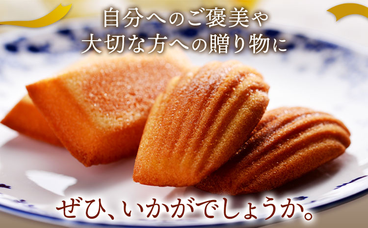 フィナンシェ＆マドレーヌセット cynthia 《30日以内に出荷予定(土日祝除く)》和歌山県 岩出市 フィナンシェ マドレーヌ 焼き菓子 スイーツ デザート お菓子 送料無料