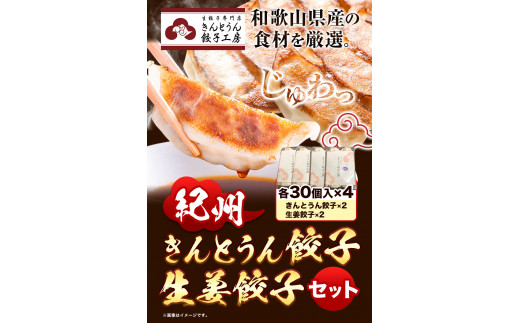 紀州きんとうん餃子 生姜餃子 2種 セット 計120個 ( 30個 入り × 4パック ) きんとうん餃子工房《90日以内に出荷予定(土日祝除く)》 和歌山県 岩出市 餃子 ぎょうざ 惣菜 中華 生姜 冷凍 送料無料