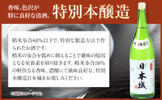 日本酒 日本城 吟醸純米酒 と 特別本醸造 2種 1.8L 酒のねごろっく 《30日以内に出荷予定(土日祝除く)》和歌山県 岩出市 日本酒 純米吟醸酒  特別本醸造酒 お酒 サケ さけ 送料無料