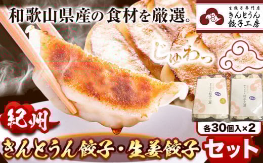 紀州きんとうん餃子 生姜餃子 2種 セット 計60個 ( 30個 入り × 2パック ) きんとうん餃子工房《90日以内に出荷予定(土日祝除く)》 和歌山県 岩出市 餃子 ぎょうざ 惣菜 中華 生姜 冷凍 送料無料