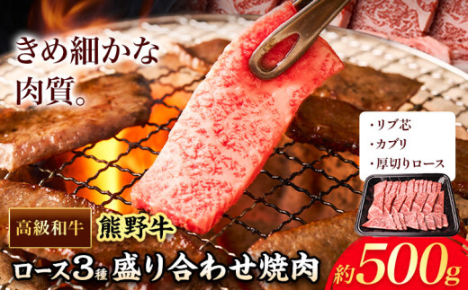 和歌山産 高級和牛 熊野牛 ロース盛合せ焼肉 約500g エバグリーン《30日以内に出荷予定(土日祝除く)》 和歌山県 岩出市 牛 うし 牛肉 熊野牛 和牛 高級