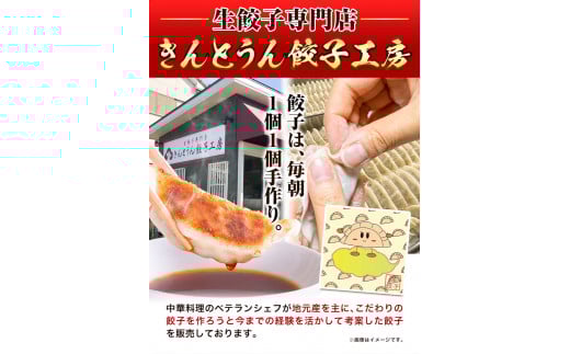 紀州きんとうん餃子 生姜餃子 2種 セット 計120個 ( 30個 入り × 4パック ) きんとうん餃子工房《90日以内に出荷予定(土日祝除く)》 和歌山県 岩出市 餃子 ぎょうざ 惣菜 中華 生姜 冷凍 送料無料