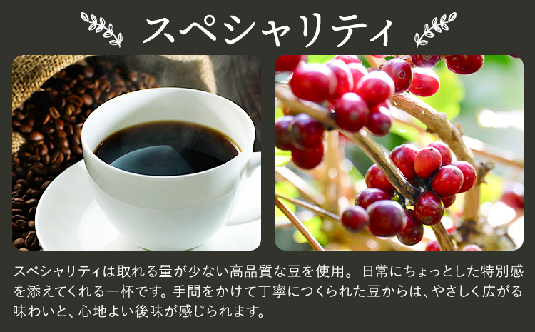 ã³ãŒããŒã®ãã ãã«ãã³ãã¬ã³ã 200g ã¹ãã·ã£ãªã㣠200g è± ã¿ãŠã³ã³ãŒããŒã30æ¥ä»¥å
ã«åºè·äºå®(忥ç¥é€ã)ãåæå±±ç 岩åºåž ã³ãŒã㌠çç² ãã¬ã³ã ã«ãã§ã€ã³