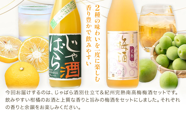 じゃばら酒別仕立て 紀州南高梅梅酒 セット 720ml×各1本 計1440ml 酒のねごろっく《30日以内に出荷予定(土日祝除く)》和歌山県 岩出市 酒 果実酒 リキュール 梅 じゃばら 送料無料