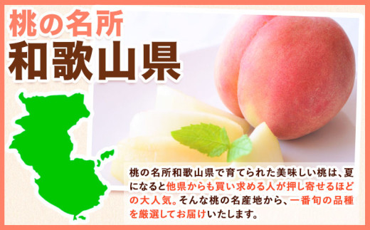 桃 和歌山県産 紀の里の桃【2回定期便】約2kg×2回 定期《2026年6月中旬-8月中旬頃出荷》 2025年 先行予約 紀の里の桃 白鳳 日川白鳳 なつっこ 清水白桃 川中島白桃 八旗白桃 和歌山 もも