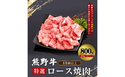 「熊野牛」特選ロース焼肉800g 4等級以上 株式会社松源《30日以内に出荷予定(土日祝除く)》和歌山県 岩出市