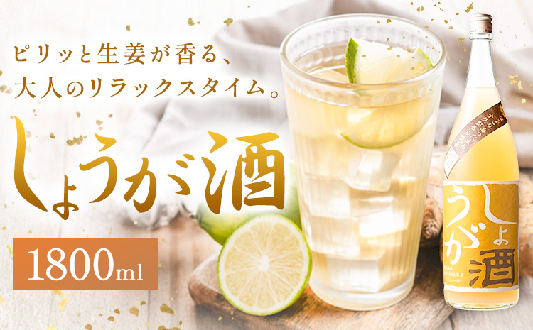 酒 しょうが酒 生姜 お酒 1.8L 酒のねごろっく《2025年11月上旬-2026年4月末頃に出荷予定(土日祝除く)》和歌山県 岩出市 お酒 さけ アルコール しょうが 日本酒 お取り寄せ