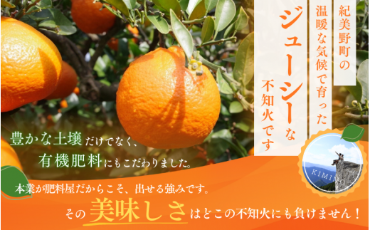 【先行予約】秀品 露地不知火 5kg【L～3Lのサイズおまかせ】【2025年2月上旬から2025年２月下旬頃に順次発送】＜味好農園＞/不知火 デコポン 蜜柑 みかん 柑橘 果物 フルーツ 【agy010B】