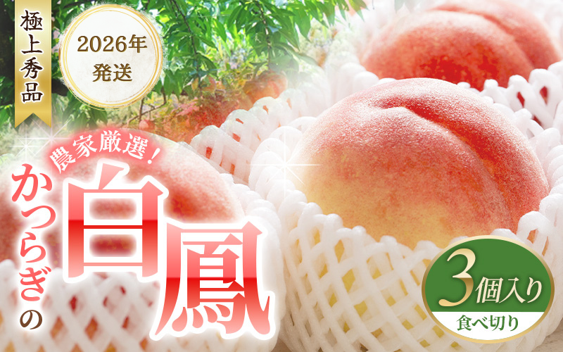 【予約受付】桃の王様 白鳳 <特秀品> うれしい食べきり容量 3玉 2026年6月末頃～2026年7月末頃に順次発送予定（お届け日指定不可）/ 桃 もも 白鳳 フルーツ 果物 くだもの 【kgr010】