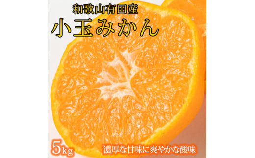 有田の小粒みかん5kg　(S～3Sサイズ混合) ※2026年1月中旬頃～2026年1月下旬頃に順次発送予定 / みかん ミカン 蜜柑 温州みかん 柑橘 フルーツ 果物 くだもの 和歌山【uot845】