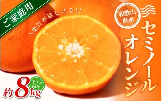 【ご家庭用】手選別 セミノールオレンジ 約8kg 和歌山県産 2S~2Lサイズ混合※2026年4月中旬～5月中旬頃に順次発送【mrmt050】