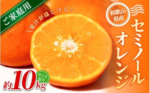 【ご家庭用】手選別 セミノールオレンジ 約10kg 和歌山県産 2S~2Lサイズ混合※2026年4月中旬～5月中旬頃に順次発送【mrmt037】