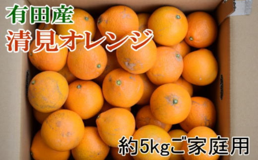 【先行予約】【濃厚】有田産 清見 オレンジ 約5kg(サイズおまかせまたは混合) ご家庭用　※2027年3月上旬～3月下旬頃発送予定（お届け日指定不可） / みかん オレンジ 和歌山 有田みかん 柑橘 フルーツ 果物【tec011-c-5】