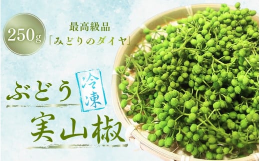  冷凍 ぶどう 生実山椒 250g / 山椒 さんしょう 香辛料 調味料 薬味 冷凍 ぶどう山椒 生山椒 和歌山県 紀美野町 生実山椒【twn020】