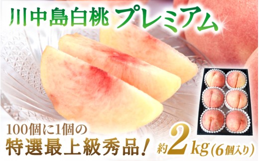 【2026年発送分先行予約】数量限定！【モモ】川中島白桃 約2kg 6個入  100個に1個の特選最上級秀品！ こだわり農家厳選！【2026年7月末から8月末順次発送】/ 和歌山県 かつらぎ町 もも 桃 高級 贅沢 特選