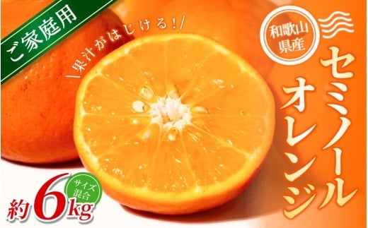 【ご家庭用】手選別 セミノールオレンジ 約6kg 和歌山県産 2S~2Lサイズ混合※2026年4月中旬～5月中旬頃に順次発送【mrmt036】