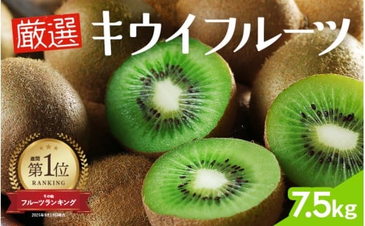 ＜11月より発送＞厳選 キウイ7.5kg+250g（傷み補償分）【扁平果】 / 和歌山 フルーツ 果物 くだもの 旬 キウイフルーツ キウイ 栄養たっぷり【ikd713】