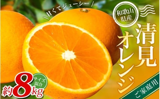 【ご家庭用】手選別 清見オレンジ 約8kg 和歌山県産 2S~2Lサイズ混合※2026年2月上旬～5月中旬頃に順次発送【mrmt048】