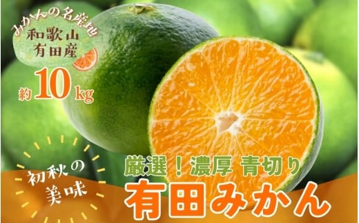 【先行予約】【2025年9月発送】特撰 青切り有田みかん 10kg ※北海道・沖縄・離島配送不可 / みかん ミカン 果物 フルーツ 柑橘 和歌山 有田みかん 青切 極早生 早生みかん【ard233】