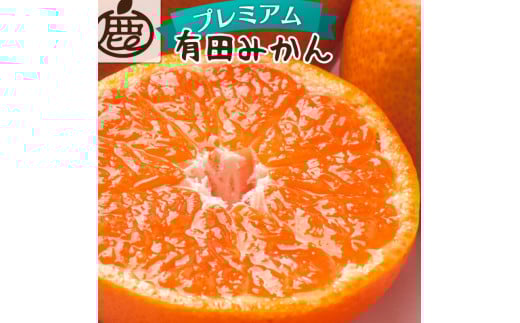 【先行予約】プレミアム有田みかん10kg+250g（傷み補償分）11月より発送(完熟)/ みかん ミカン 有田みかん 柑橘 フルーツ 果物 和歌山 オレンジ【ikd215】