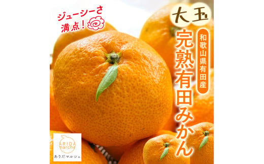 【先行予約】【果汁たっぷり】迫力満点！ 大粒 完熟有田みかん 家庭用 サイズ混合(2L～4L)　約5.2kg(5kg+200g)【2026年11月中旬～1月中旬頃に順次発送予定】【ard225A】