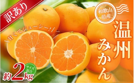 【訳あり】 温州みかん 約2kg 和歌山県産 2S~2Lサイズ混合※2025年11月上旬～2026年2月中旬ごろに順次発送【mrmt008】