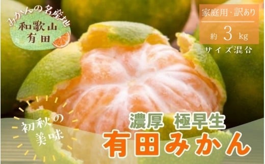 【初秋の美味】有田育ちのご家庭用訳ありゆら早生有田みかん 3kg【サイズ混合】【2025年10月上旬～10月下旬頃順次発送予定】※北海道・沖縄・離島配送不可 / みかん 果物 くだもの フルーツ 有田みかん 柑橘【ard236】