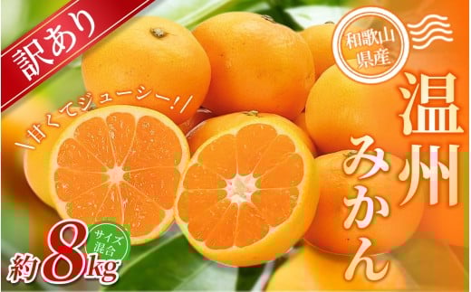 【訳あり】 温州みかん 約8kg 和歌山県産 2S~2Lサイズ混合※2025年11月上旬～2026年2月中旬ごろに順次発送【mrmt043】