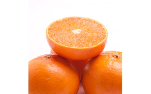 ＜2月より発送＞厳選 せとか1kg+250g（傷み補償分）【柑橘・春みかんの王様】【光センサー選果・食べ頃出荷】【ikd125D】