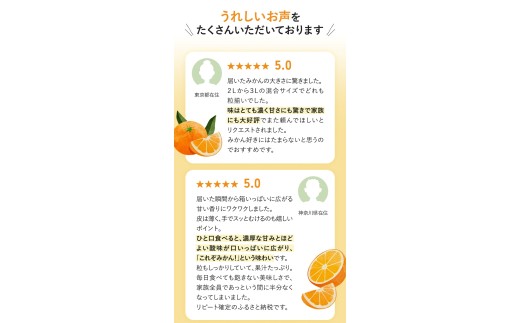 ボリューム満点！大玉  温州みかん 2kg ※秀優混合【2L～3Lサイズ】【2026年12月から2027年3月下旬頃に順次発送】＜味好農園＞/ 温州 蜜柑 みかん 柑橘 果物 フルーツ ミカン 甘い 美味しい【agy004-l-2】